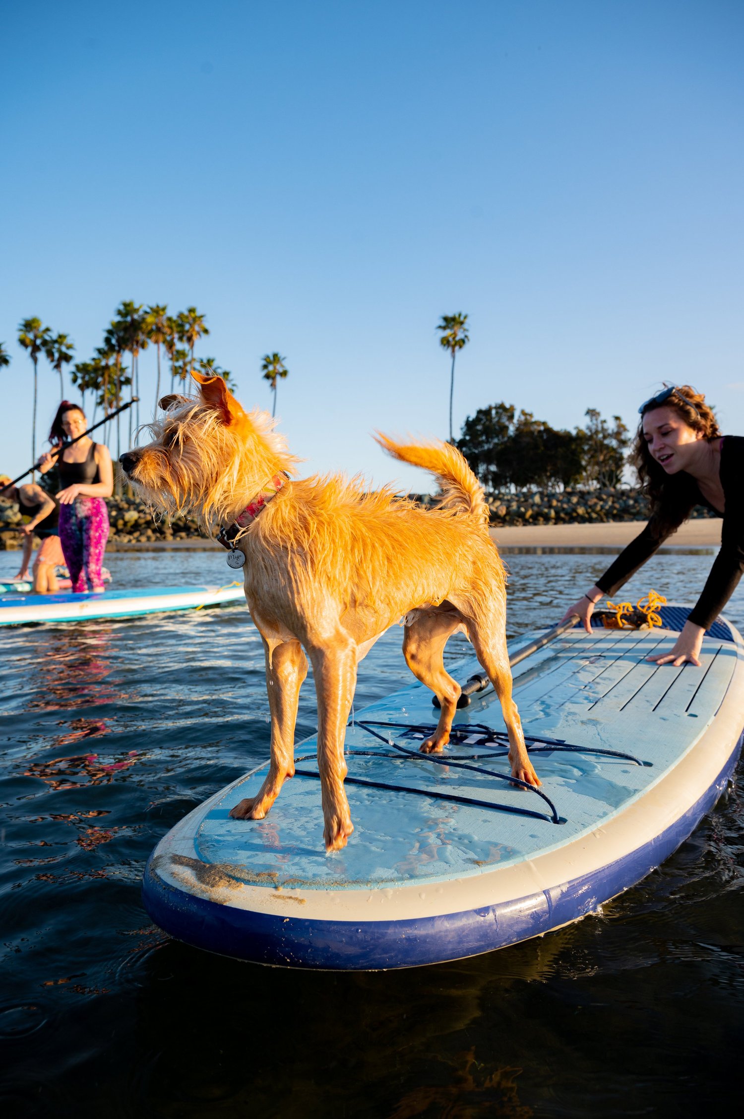 Kayla from Field Trip by the water during a San Diego outdoor wellness session.